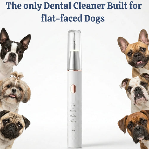 VetSonic Pro™ — Ultrasonic Dental Cleaner made for flat-faced dogs.