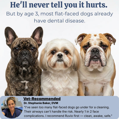 VetSonic Pro™ — Ultrasonic Dental Cleaner made for flat-faced dogs.