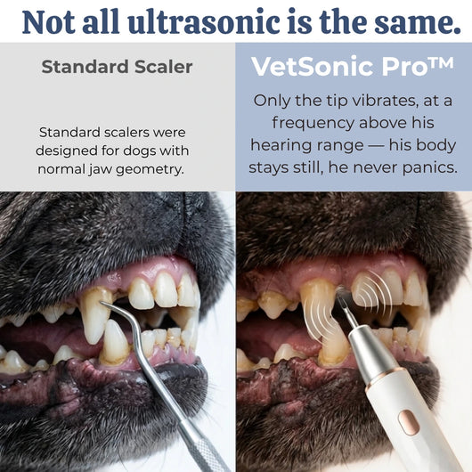 VetSonic Pro™ — Ultrasonic Dental Cleaner made for flat-faced dogs.