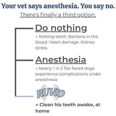 VetSonic Pro™ — Ultrasonic Dental Cleaner made for flat-faced dogs.