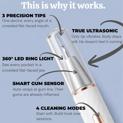 VetSonic Pro™ — Ultrasonic Dental Cleaner made for flat-faced dogs.