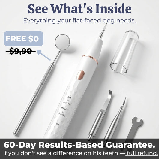 VetSonic Pro™ — Ultrasonic Dental Cleaner made for flat-faced dogs.