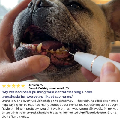 VetSonic Pro™ — Ultrasonic Dental Cleaner made for flat-faced dogs.