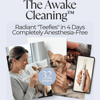 The Awake Cleaning™ Ebook